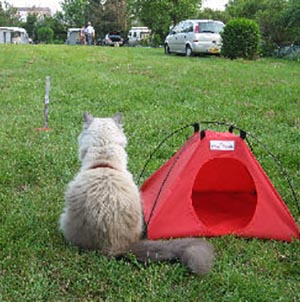 ATHYS CAMPING